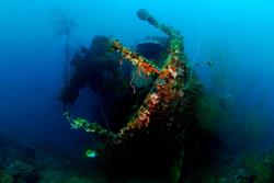 Palau Scuba Diving Holiday. Wreck.